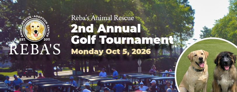 Register to Play!