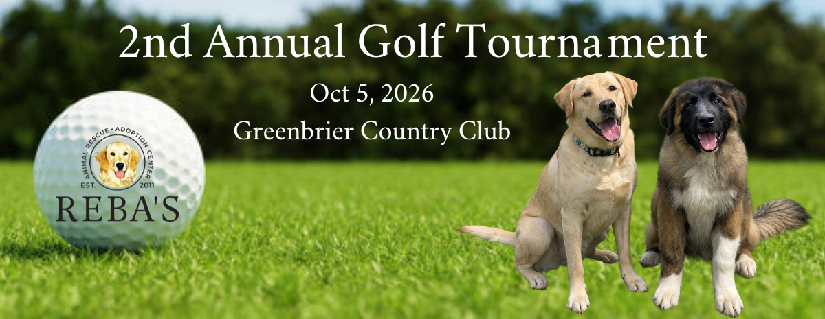 Register to Play!